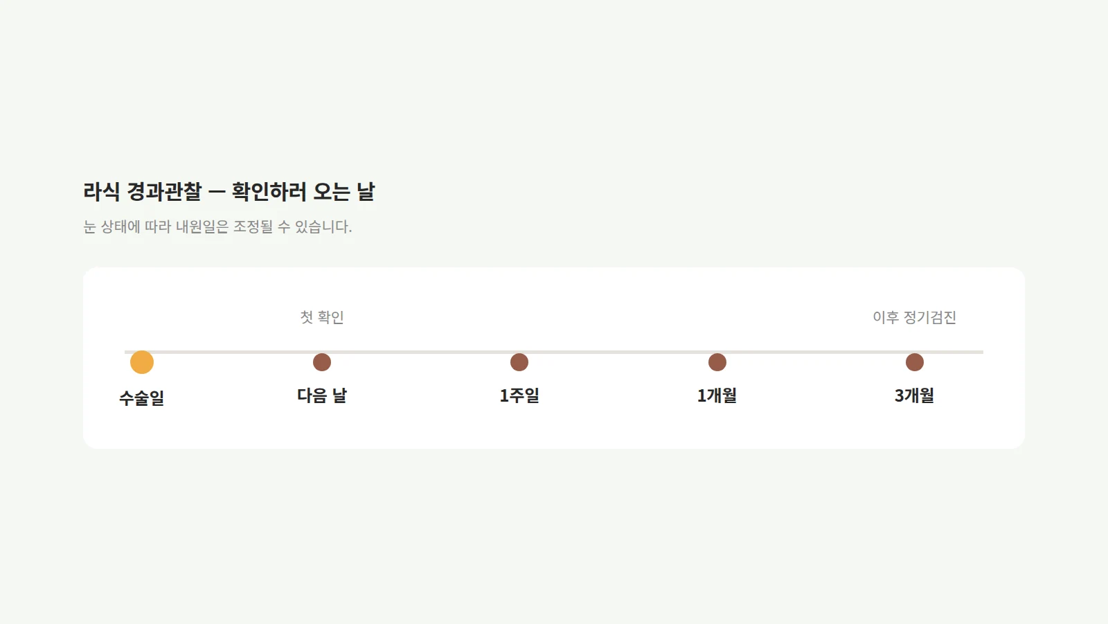 수술일부터 다음 날·1주일·1개월·3개월까지 다섯 지점을 가로선 위에 찍은 라식 경과관찰 일정 도형