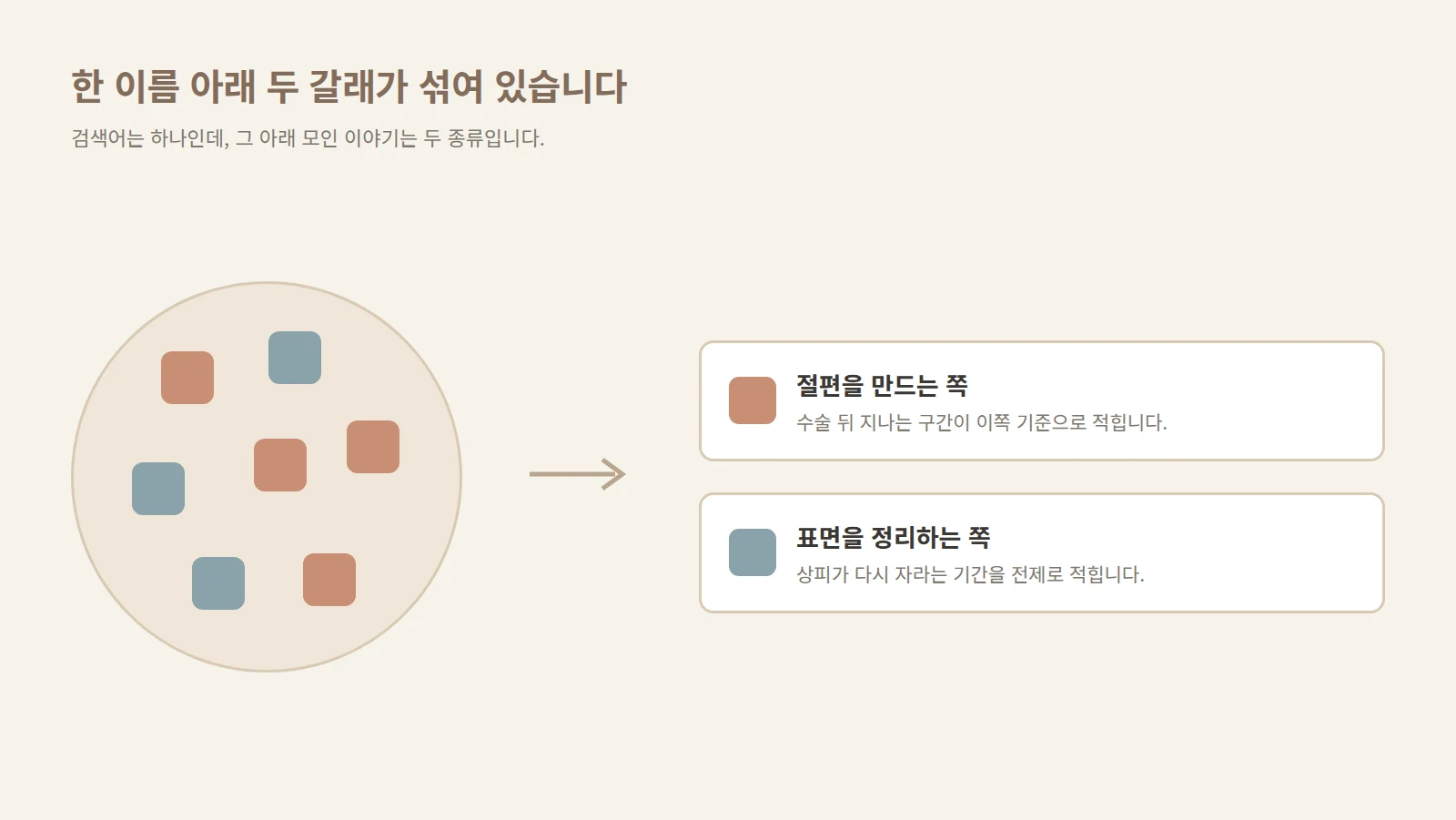 왼쪽 큰 원 안에 두 가지 색 사각형이 뒤섞여 있고 화살표를 지나 오른쪽에서 색깔별 두 상자로 나뉘어 담긴 도형