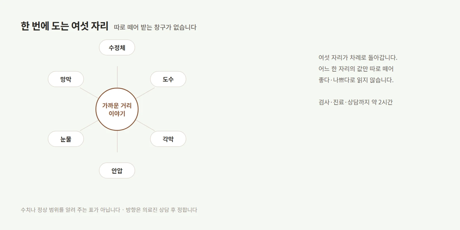 가운데 원을 둘러싸고 수정체·도수·각막·안압·눈물·망막 여섯 칸이 고르게 놓이고 가운데로 선이 모이는 도형
