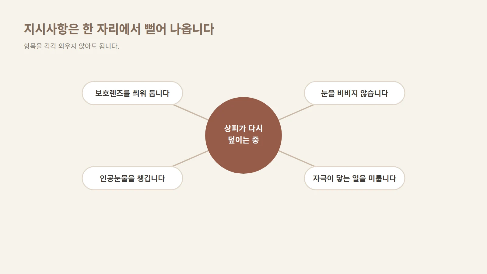 가운데 원인 하나에서 네 갈래의 선이 뻗어 나가 각각 지시사항에 닿는 방사형 도형