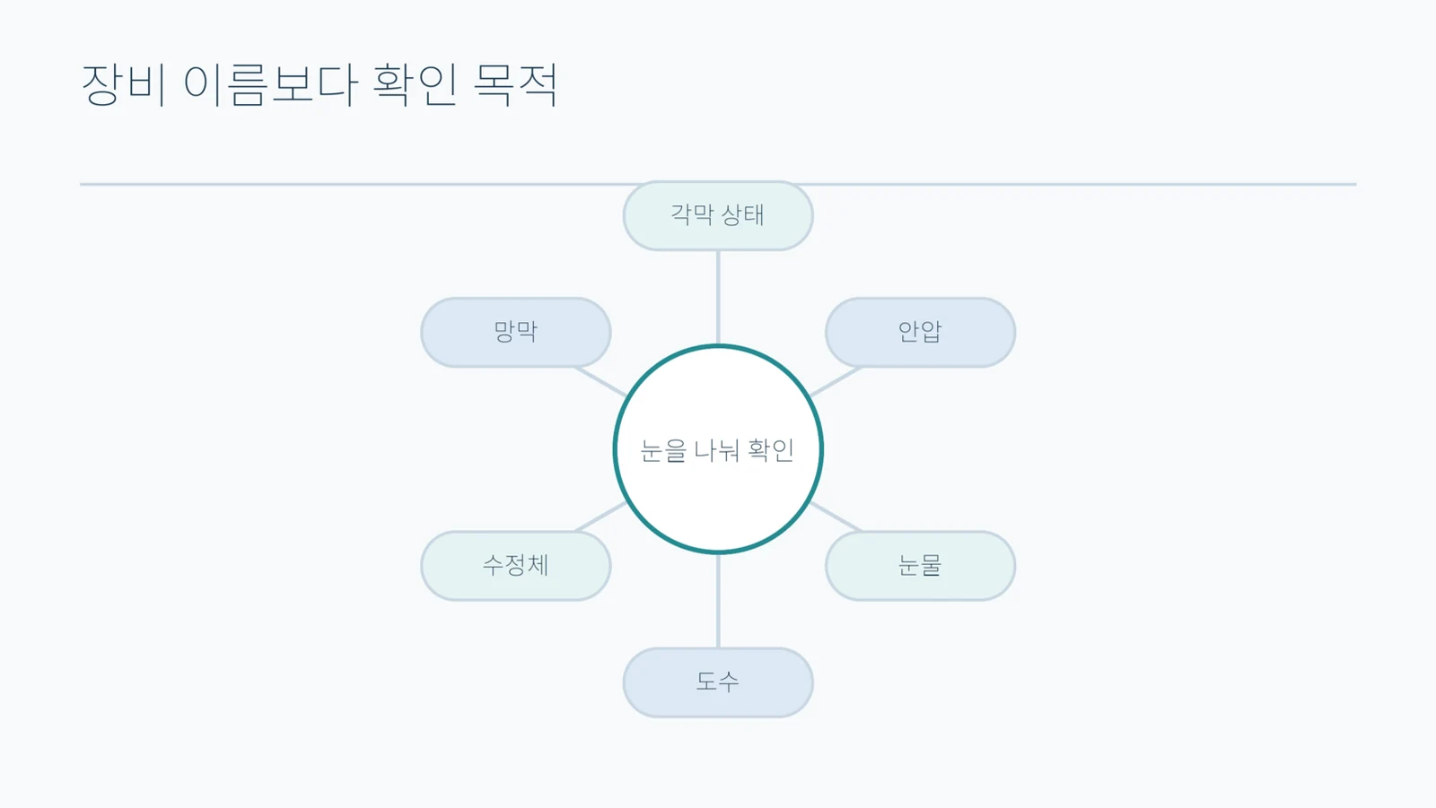 눈을 나눠 확인한다는 중심 원 둘레에 각막 상태·안압·눈물·도수·수정체·망막 항목을 배치한 도형