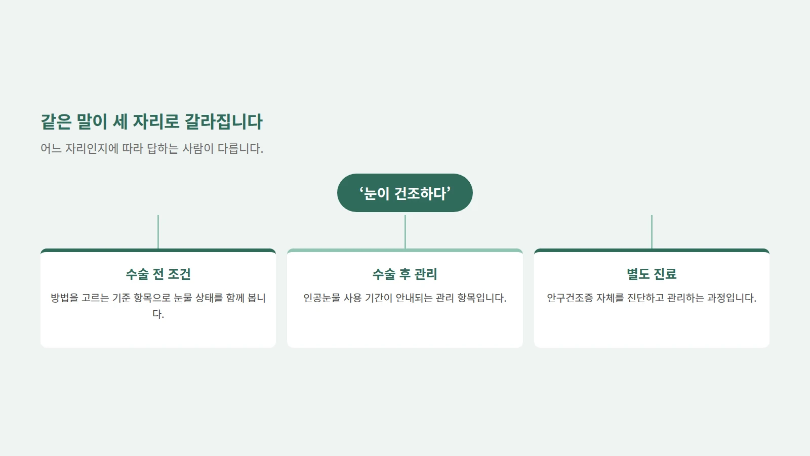 건조하다는 말에서 세 갈래 화살표가 갈라져 수술 전 조건·수술 후 관리·별도 진료 세 상자로 이어지는 도형