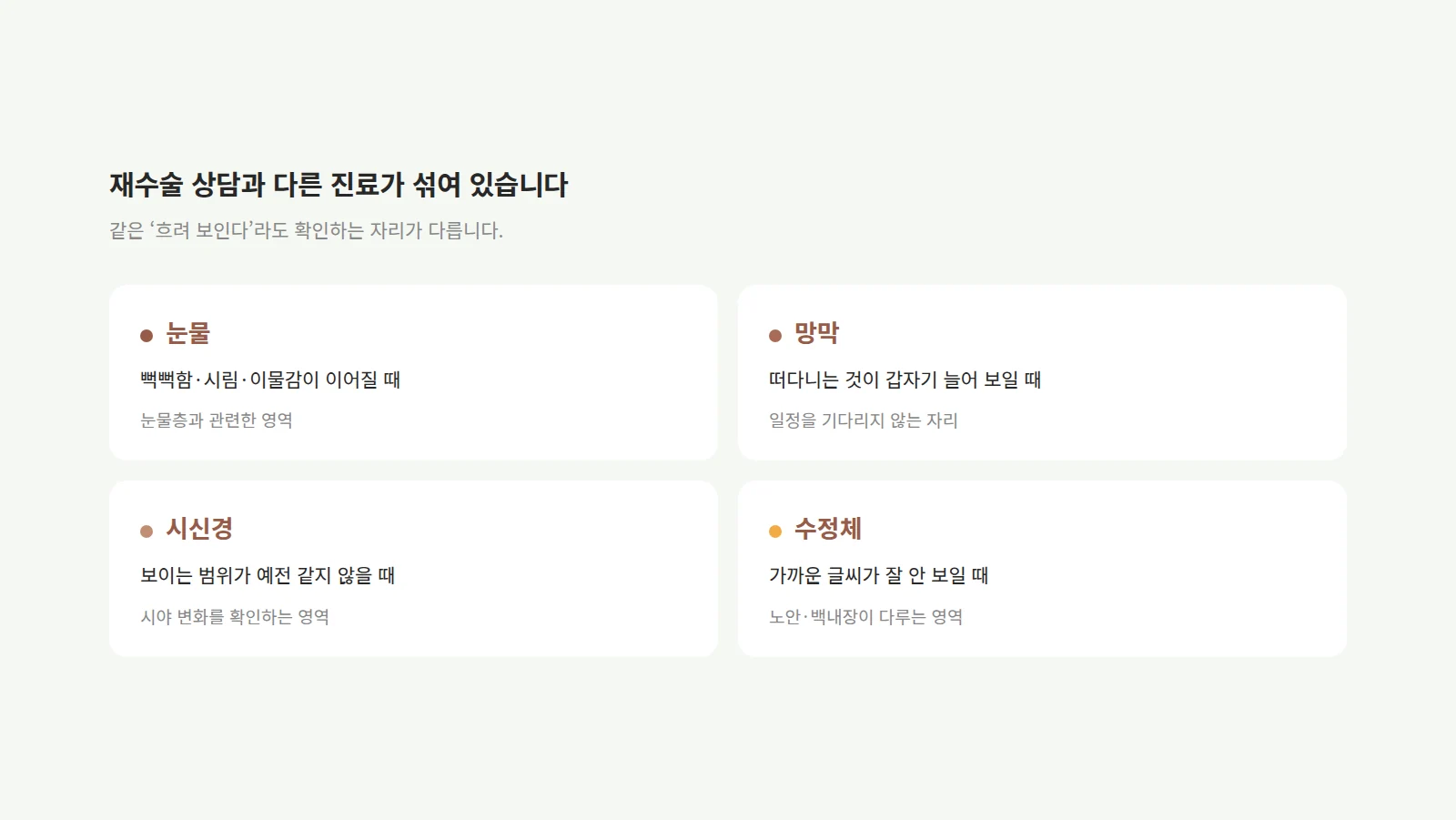 눈물·망막·시신경·수정체 네 영역을 두 줄 카드로 배치하고 각 영역에 해당하는 증상을 적은 도형