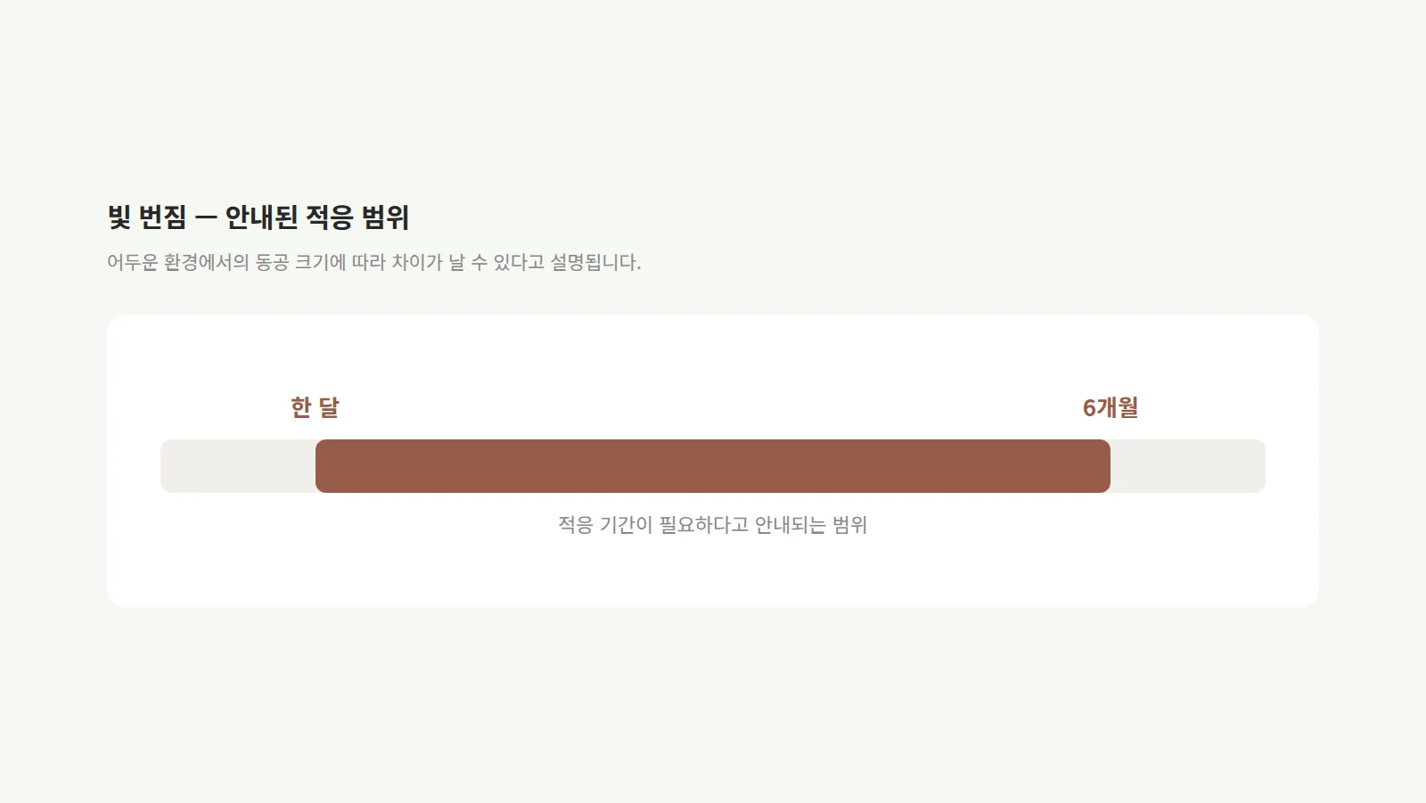한 달과 6개월 사이 구간만 색으로 채워 빛 번짐 적응 범위를 표시한 눈금 막대 도형