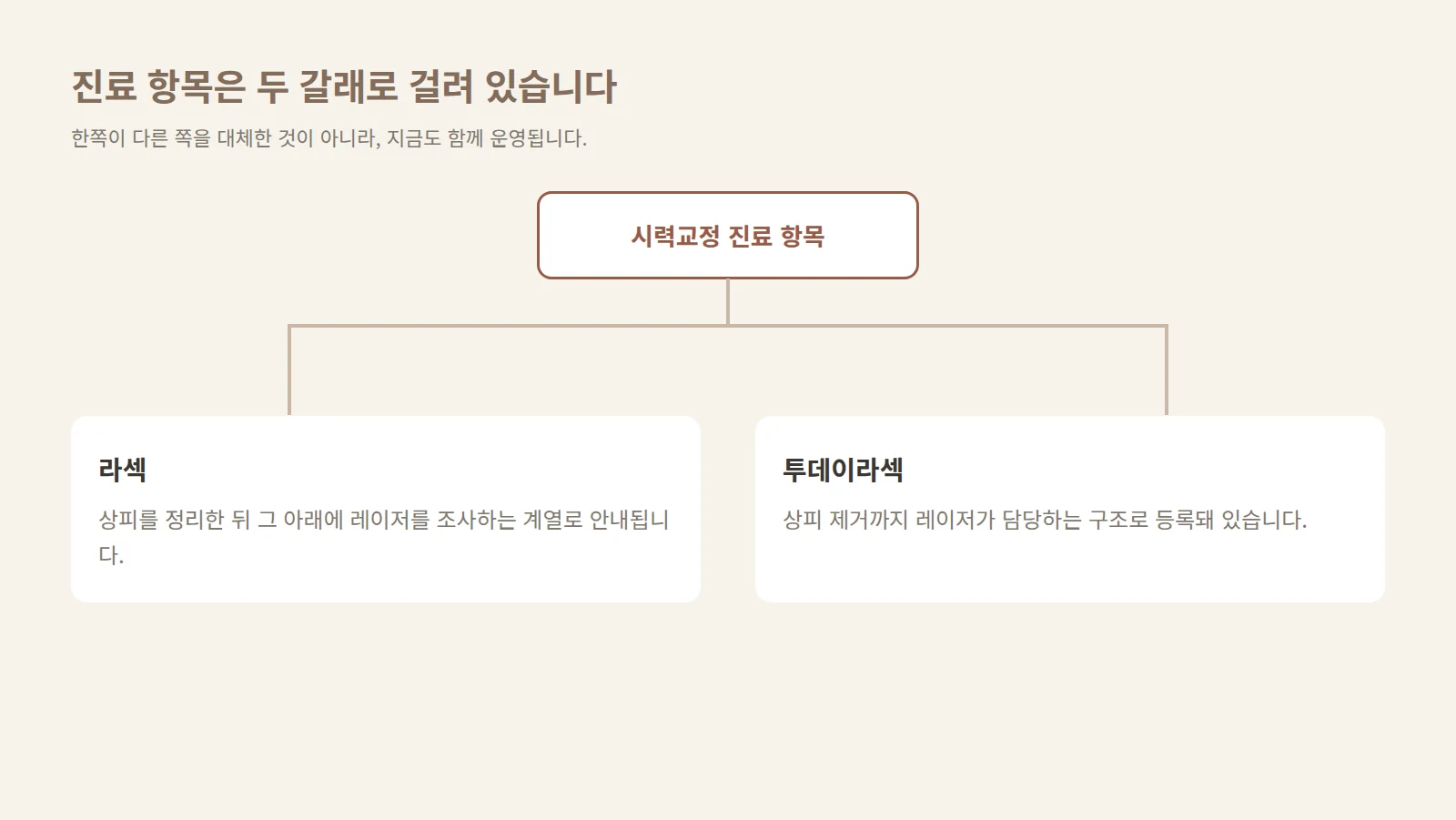 하나의 진료 항목 목록에서 두 갈래로 나뉘어 각각 독립 항목으로 걸려 있는 구조를 나타낸 도형